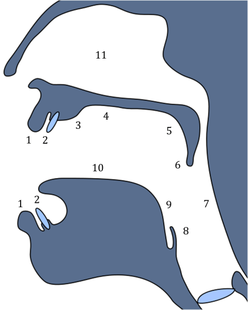lugaresdearticulacao2